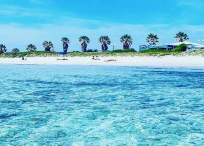 Konukevi New Elegance